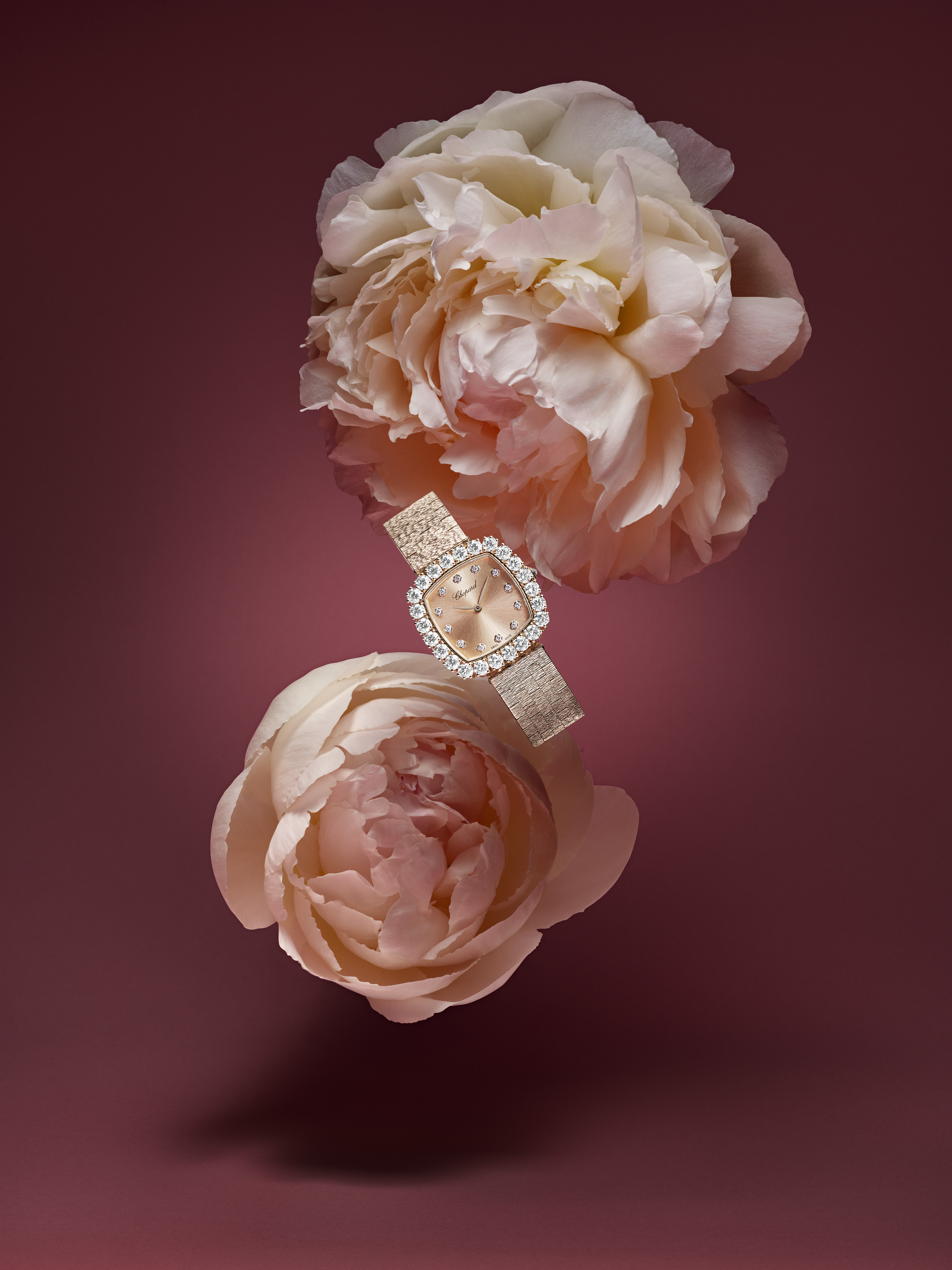 母愛時刻，臻愛傳承